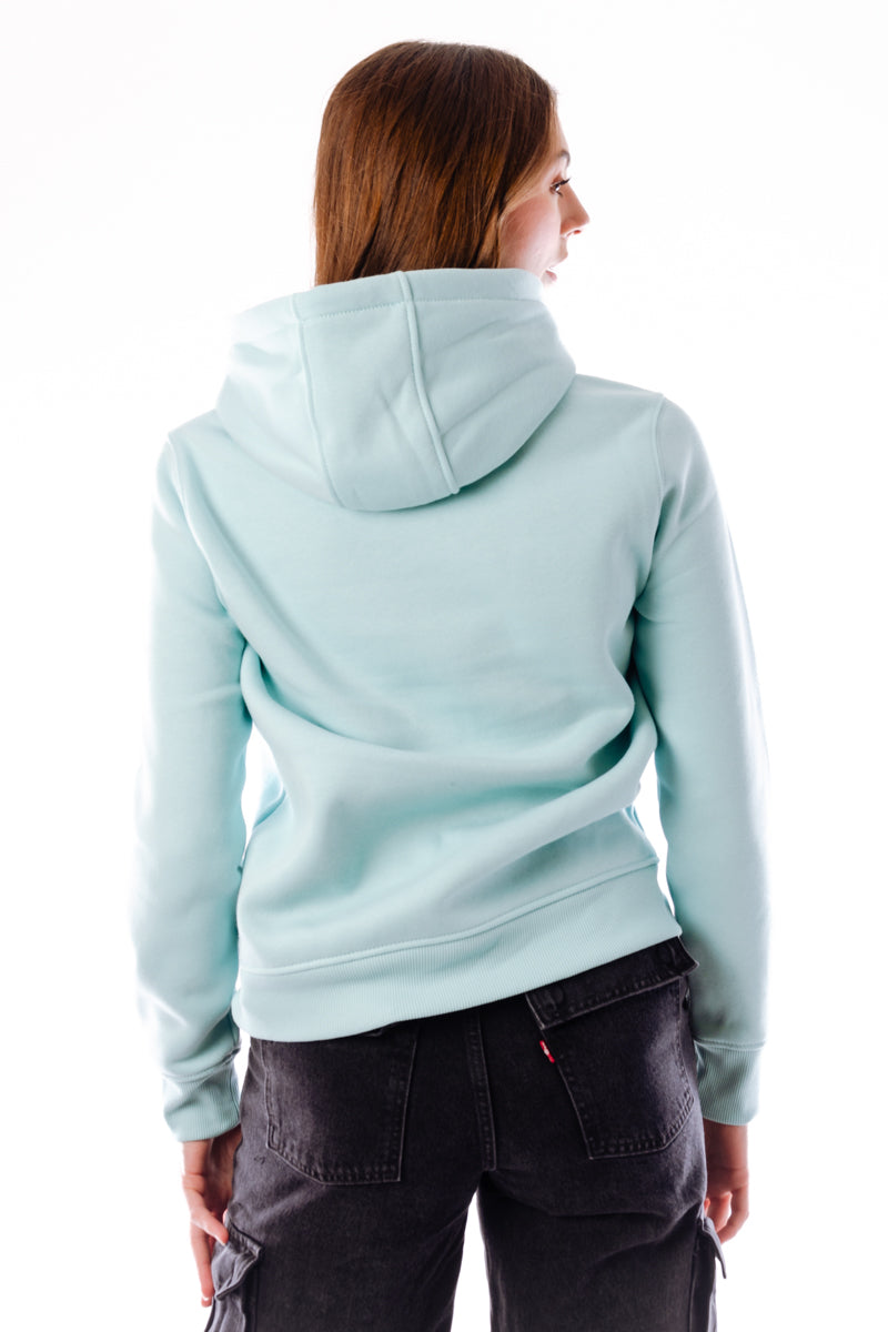 Clarksburg Graphic Sleeve Hoodie - TRQ