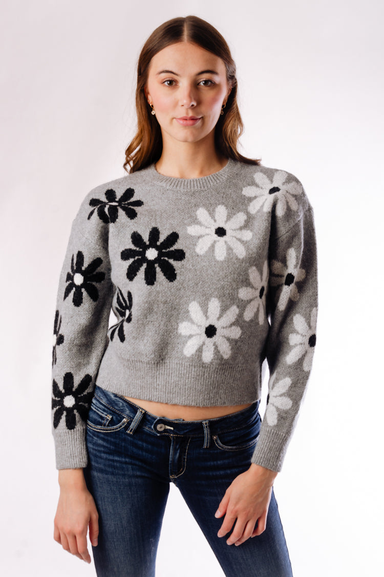 Daisy Sweater - GRY