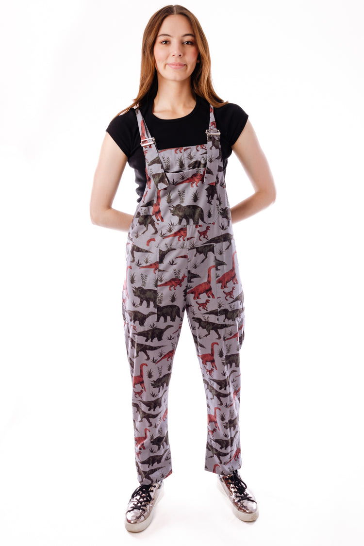 Dinosaur Overalls - GRY