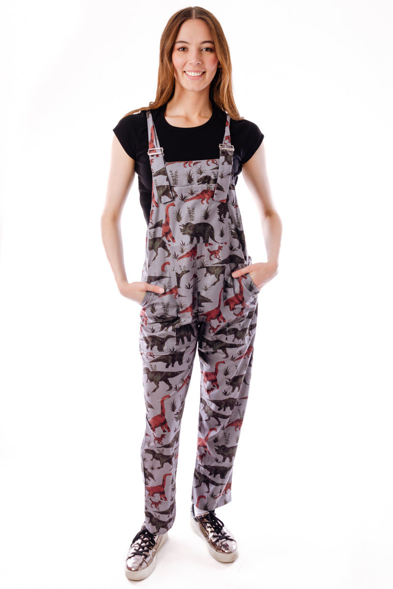 Dinosaur Overalls - GRY