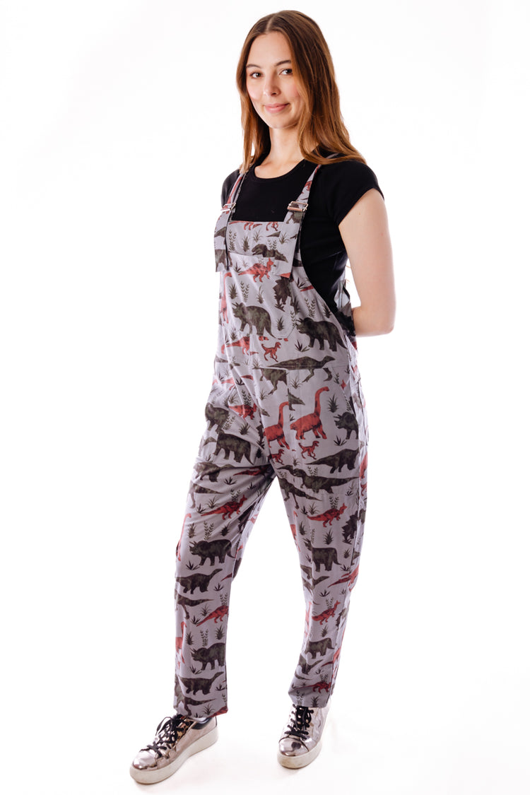 Dinosaur Overalls - GRY