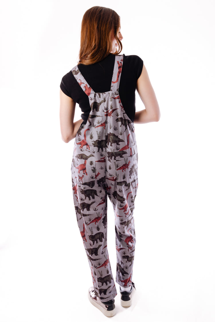 Dinosaur Overalls - GRY