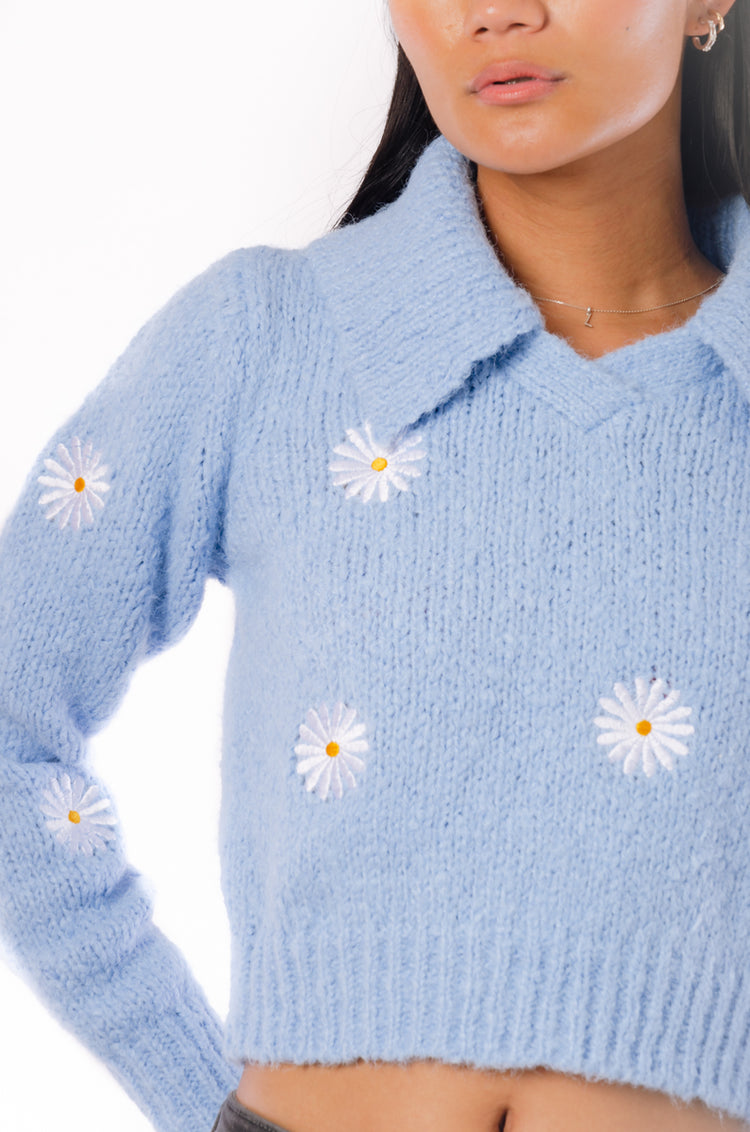 Embroidered Daises Sweater - BLU