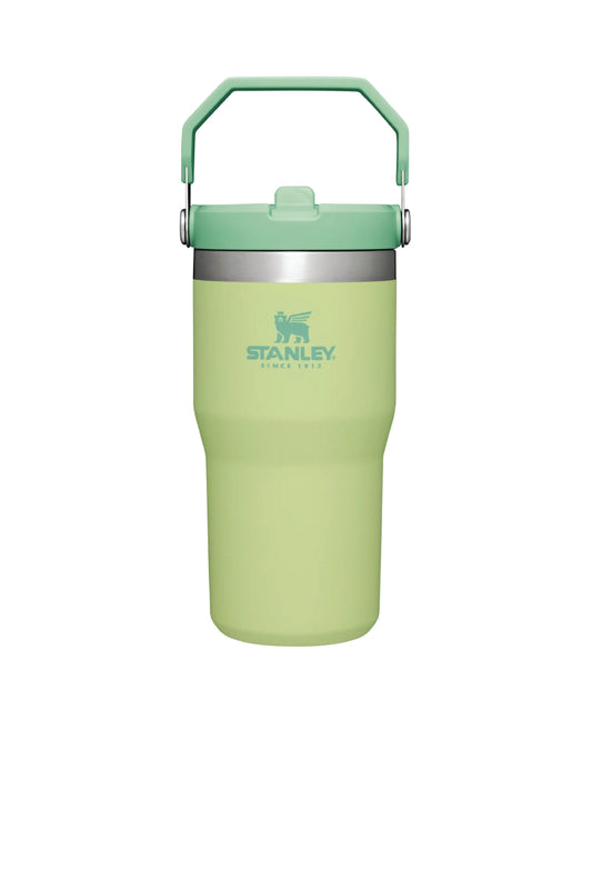 Iceflow Flip Straw Tumbler 20 oz - Citron - CIT