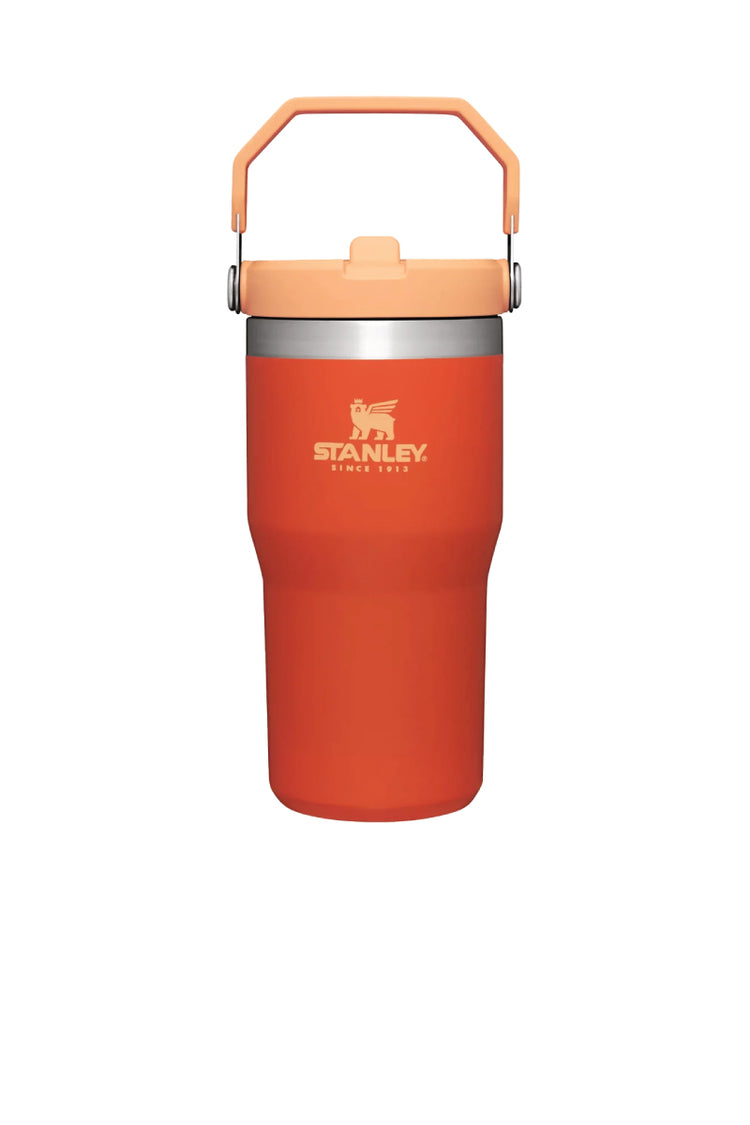 Iceflow Flip Straw Tumbler 20 oz - Tigerlily - TIG