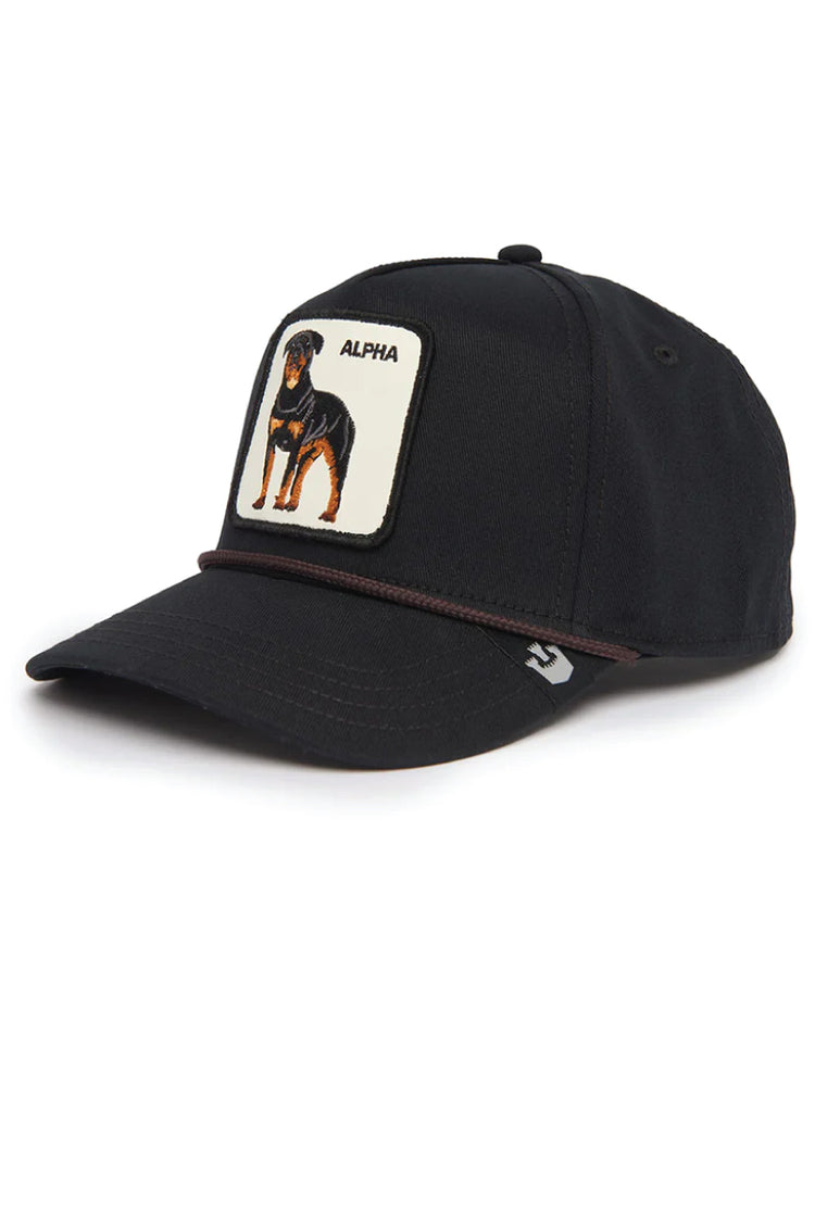 Unisex Alpha Dog 100 Hat - BLK