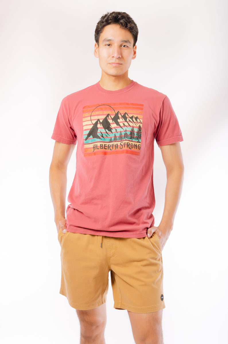 Vintage Mountains Tee - BRK