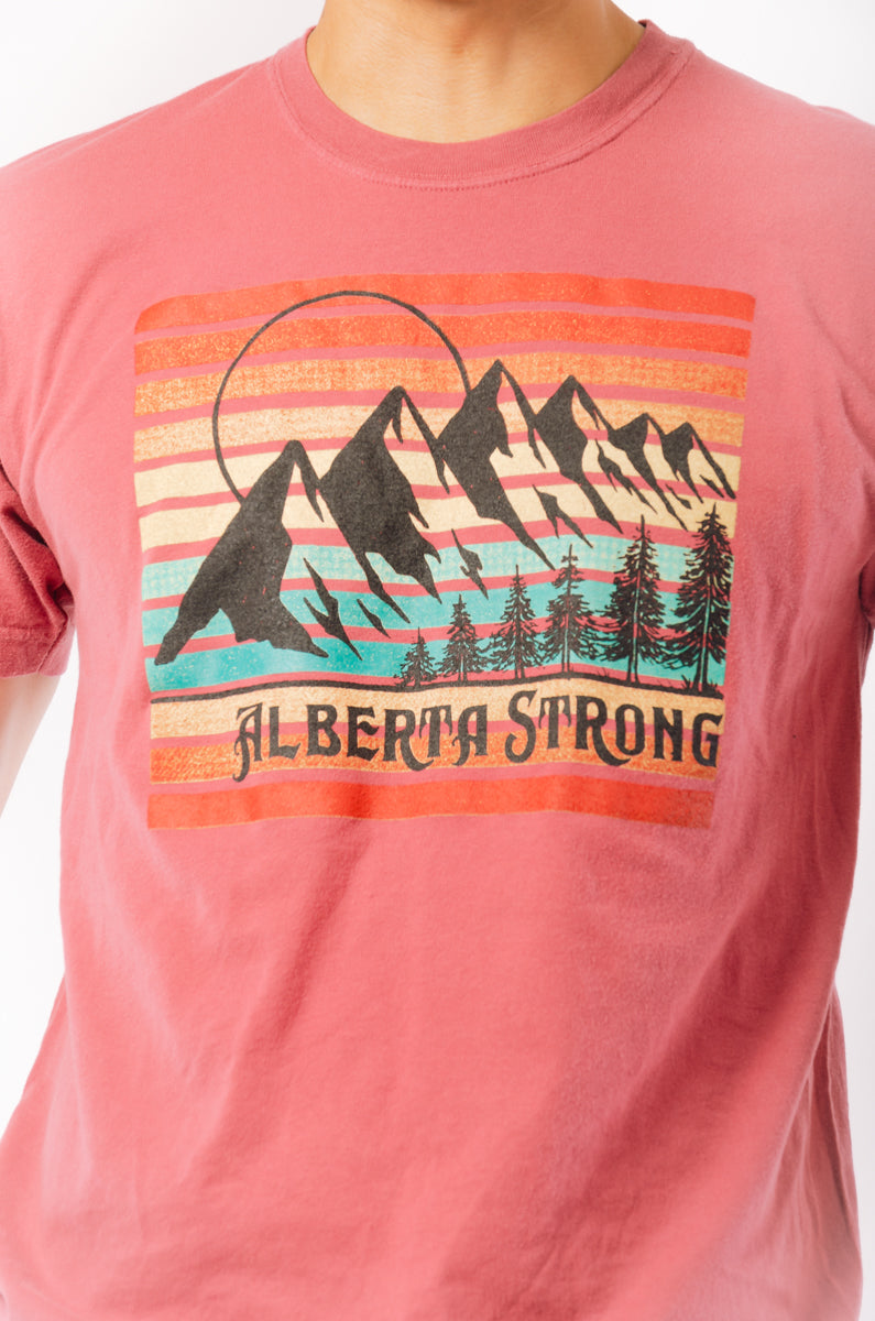 Vintage Mountains Tee - BRK