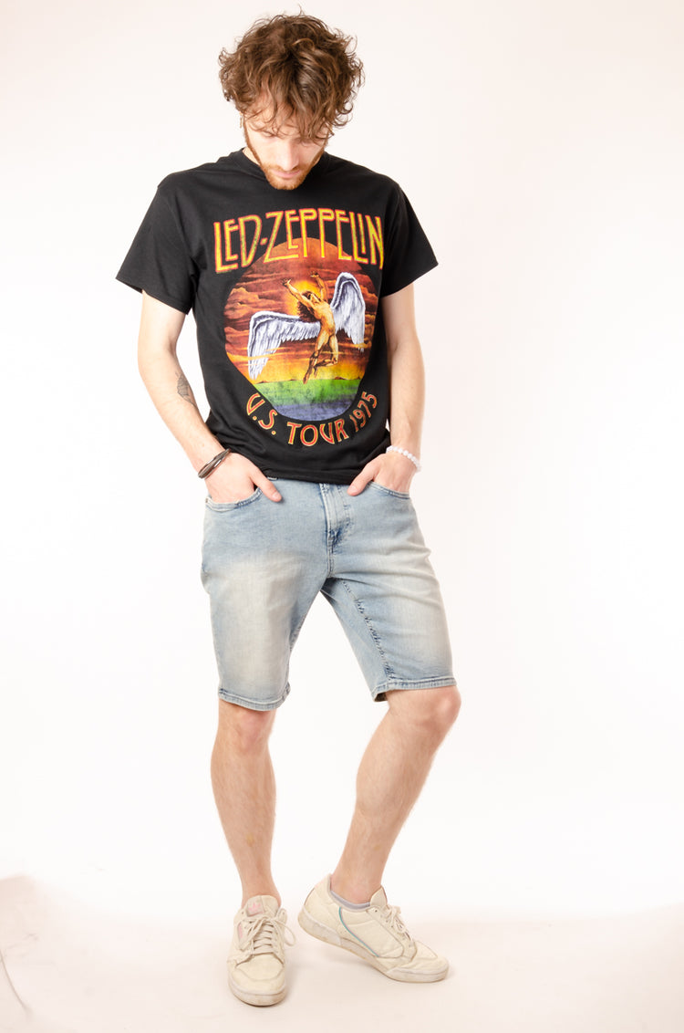 Parker Denim Shorts - CCR